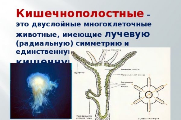 Оригинальные ссылки кракена