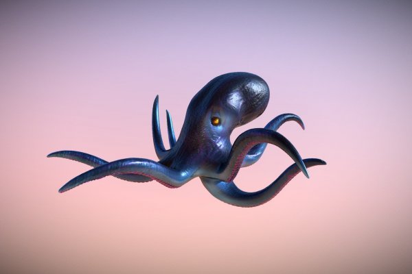 Как вывести деньги с kraken